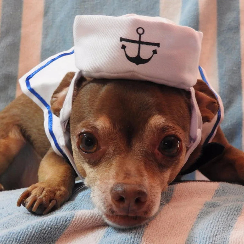 Nautical Navy Sailor Cat Cosplay Costume - Cute Two-Piece Pet Apparel Set