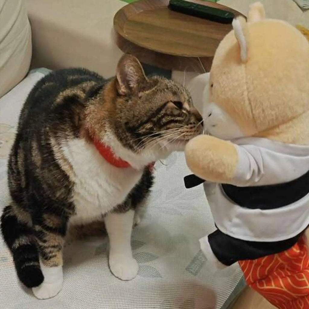 Interactive Cat Wrestling Glove Puppet Ultimate Kitten Boxing & Play Toy