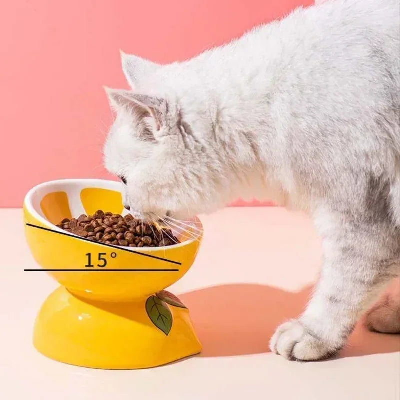 Cute Slanted Ceramic Fruit Pet Bowl