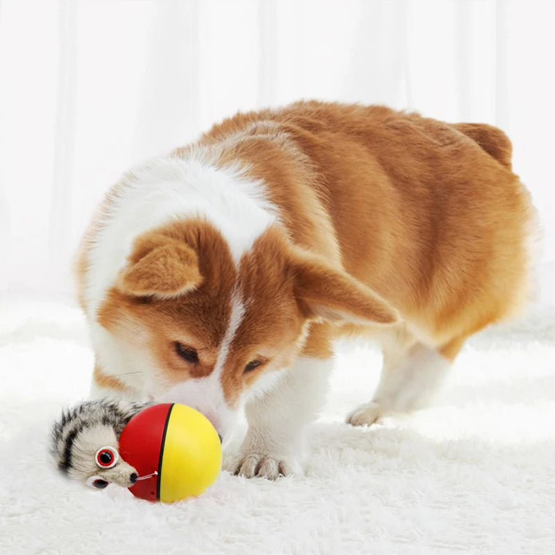 The Chaos Chaser – Motorized Rolling Beaver Ball Toy