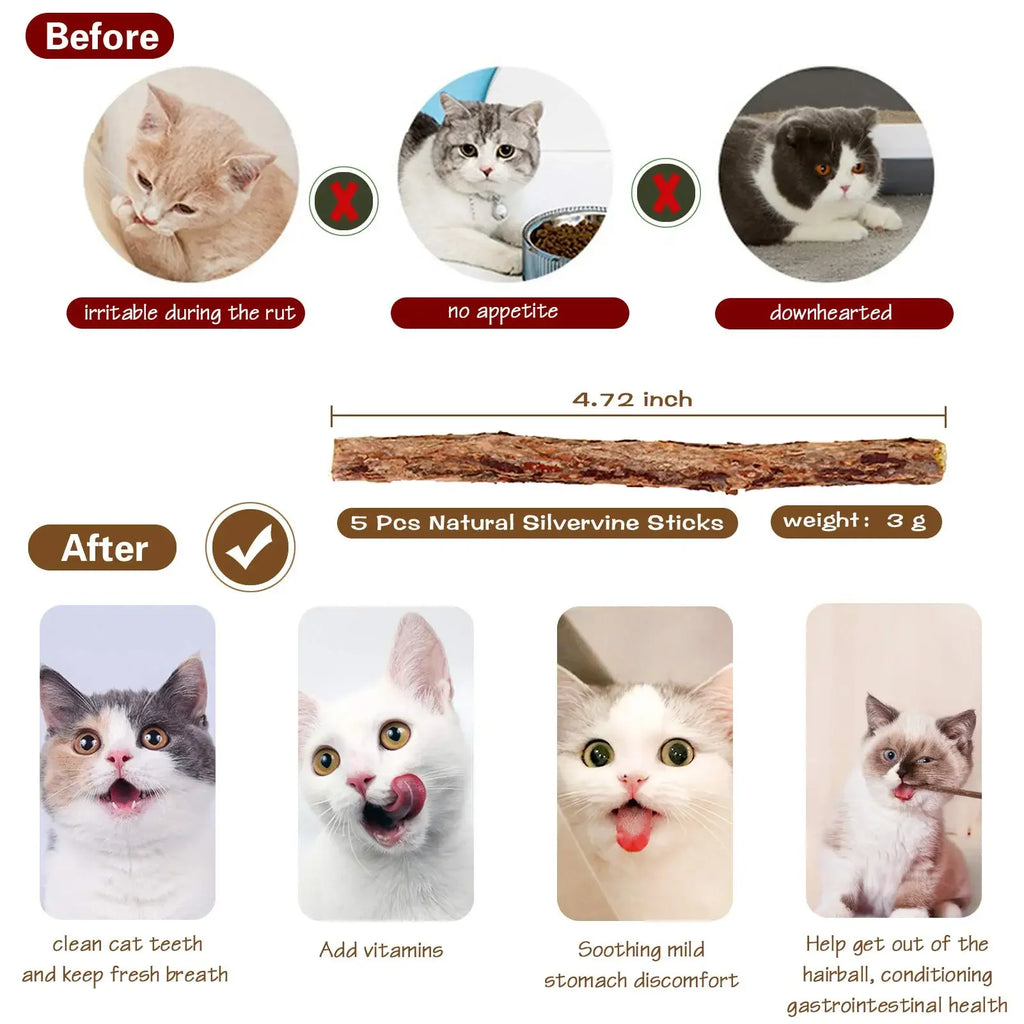 Natural Wooden 3-in-1 Cat Teaser Wand with Organic Catnip & Sensory Ribbons