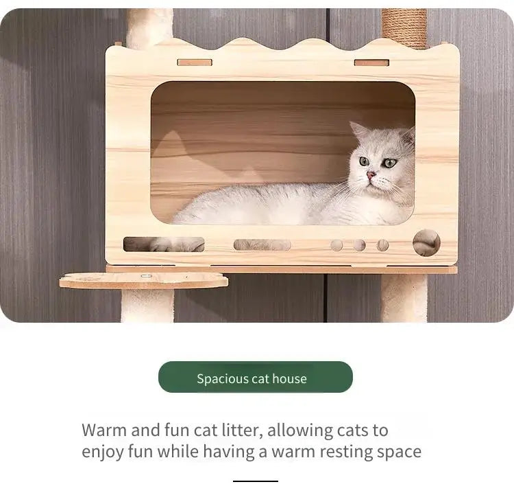 Modern Wooden Cat Tree Tower with Clear View Space Pod & Cozy Dual Condos