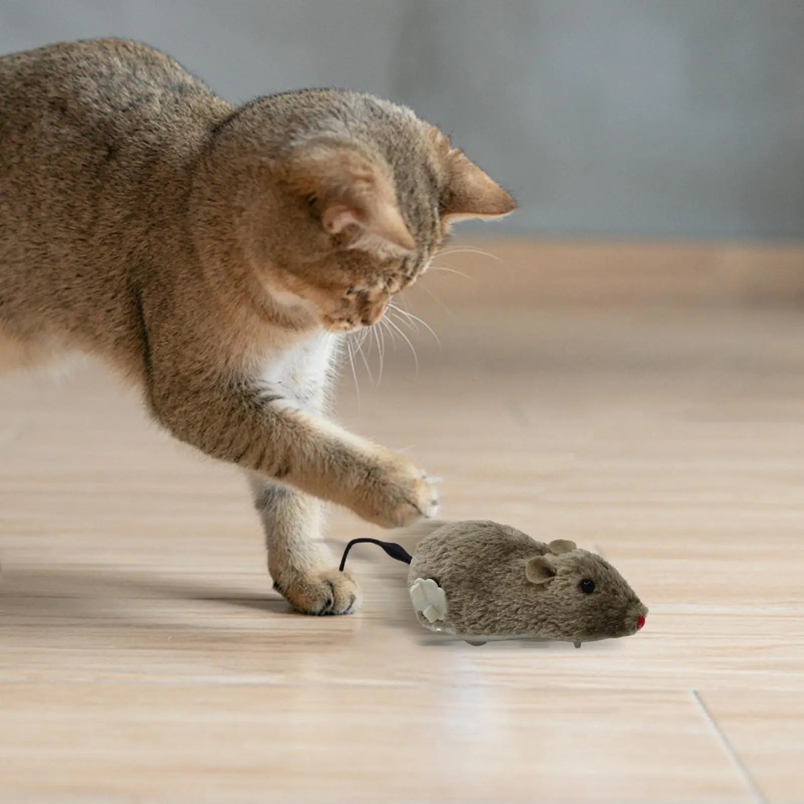 Wind-Up Moving Plush Mouse Cat Toy | Interactive Battery-Free Chasing Game