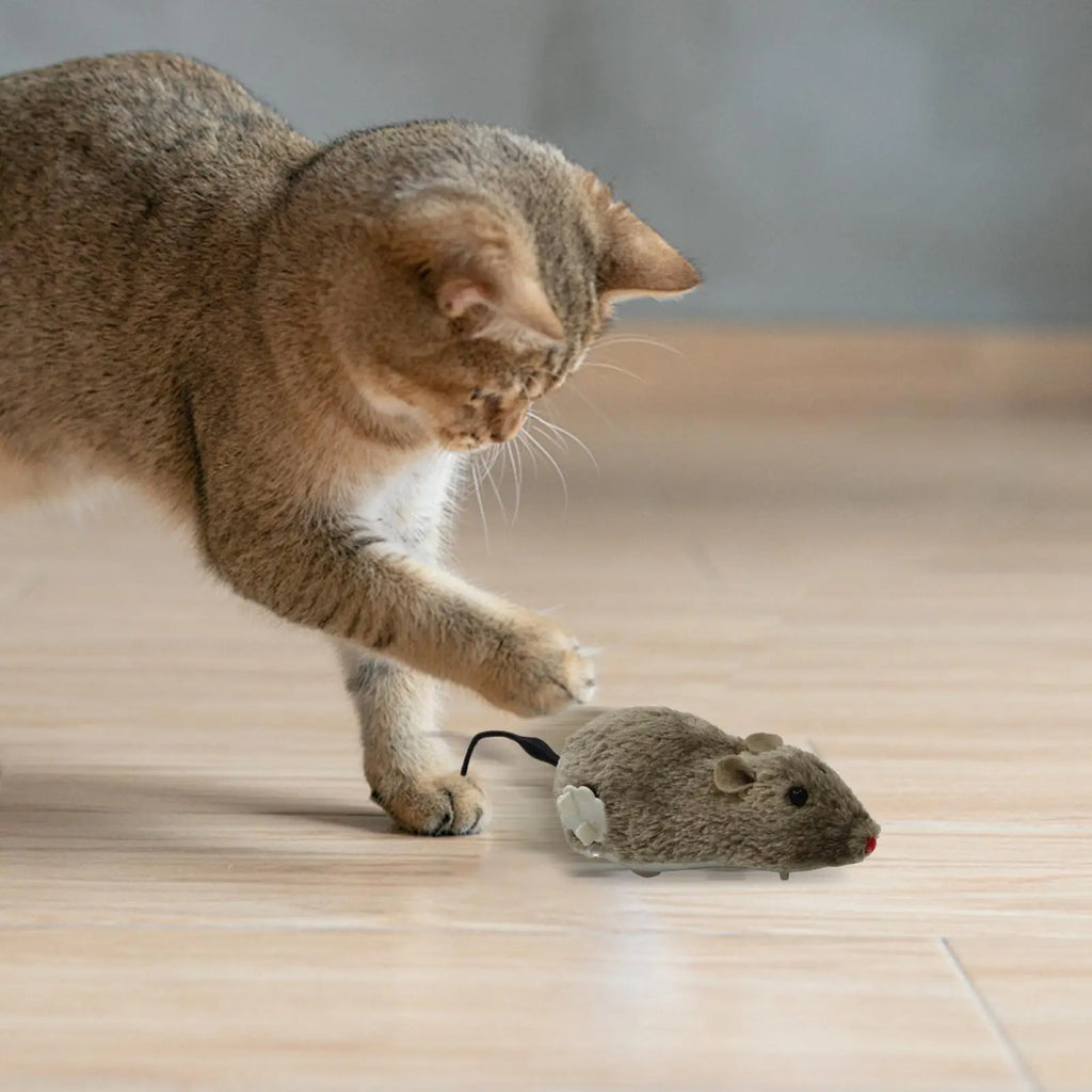 Wind-Up Moving Plush Mouse Cat Toy | Interactive Battery-Free Chasing Game