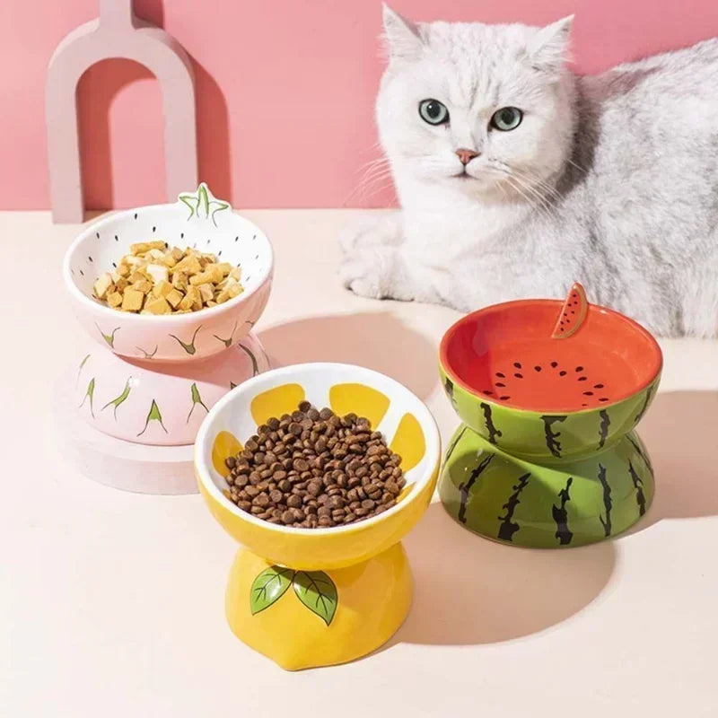 Cute Slanted Ceramic Fruit Pet Bowl