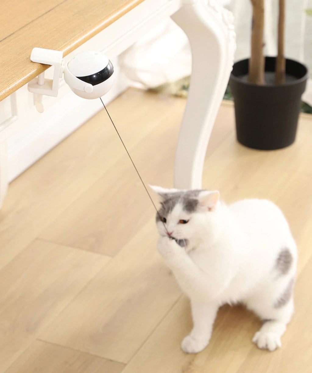 Smart Automated Electric Lifting Ball Cat Toy - Interactive Hands-Free Play