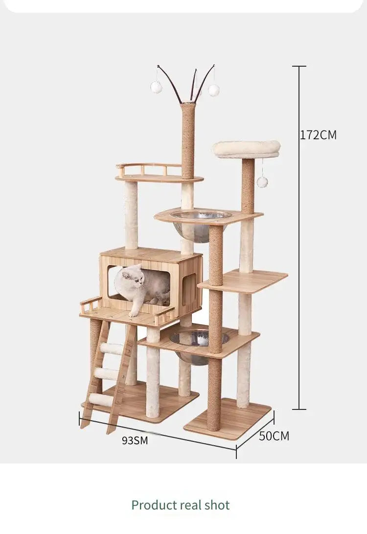 Modern Wooden Cat Tree Tower with Clear View Space Pod & Cozy Dual Condos