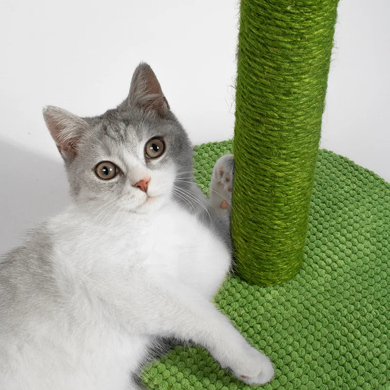 Desert Cactus Cotton Rope Cat Scratcher | Single-Layer Heavy-Duty Climbing Column