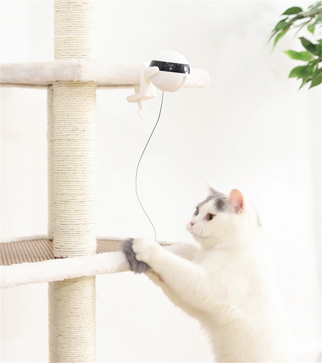 Smart Automated Electric Lifting Ball Cat Toy - Interactive Hands-Free Play