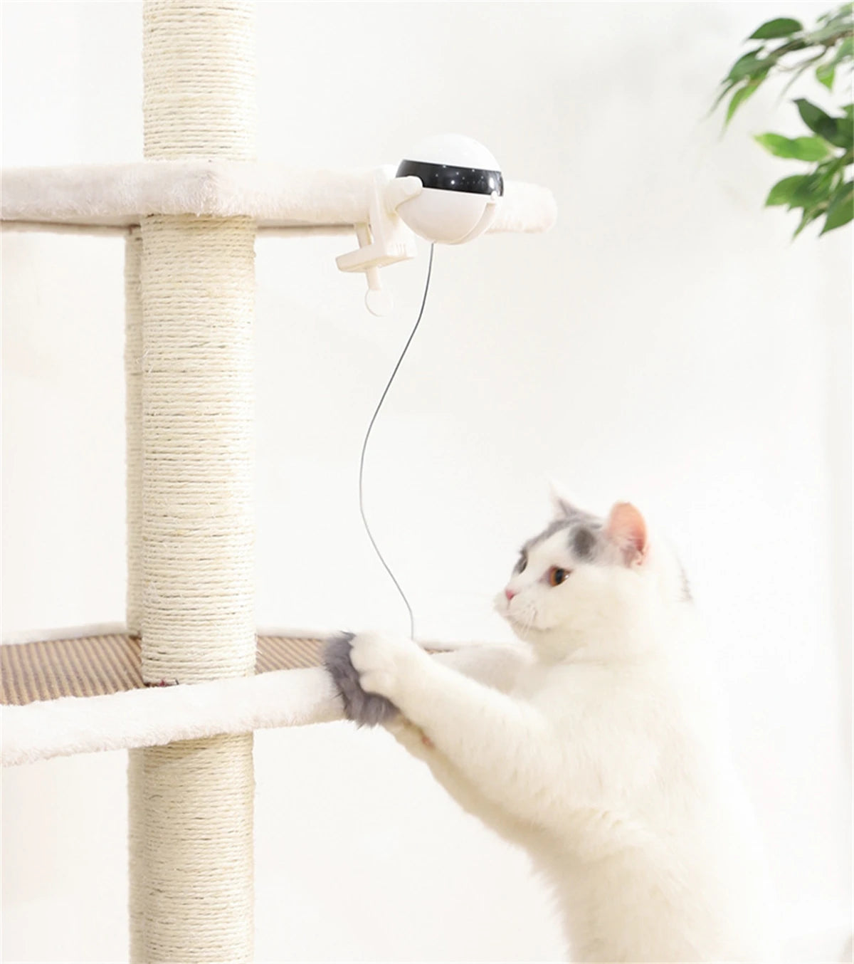Smart Automated Electric Lifting Ball Cat Toy - Interactive Hands-Free Play