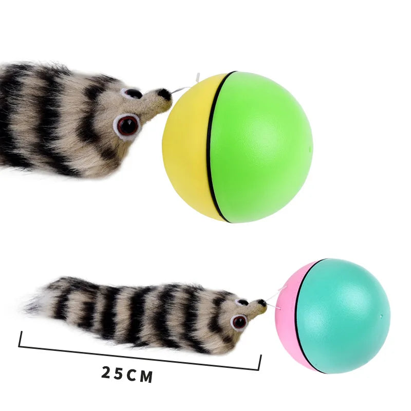 The Chaos Chaser – Motorized Rolling Beaver Ball Toy