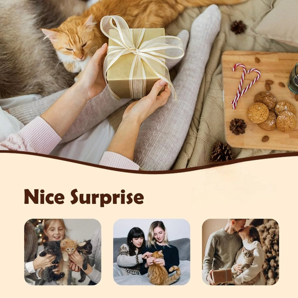 Remote Control Flapping Bird Cat Toy