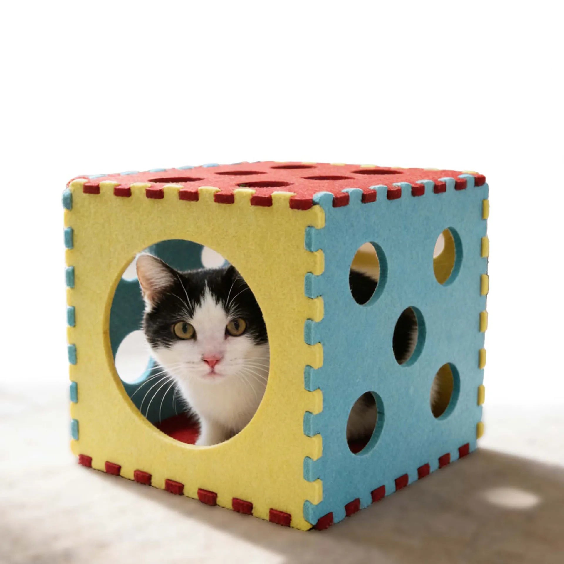 Colorful Puzzle Cube For Cats