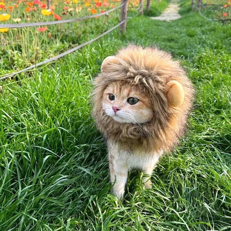 Majestic Lion Mane Cat Wig Hat - Adorable Pet Cosplay Costume with Ears