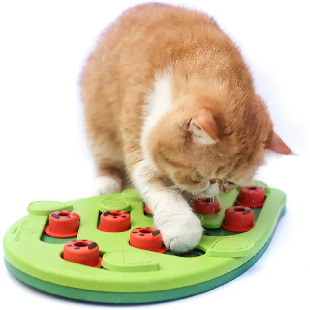 Interactive Cat Puzzle Toy & Slow Feeder Scratch Board