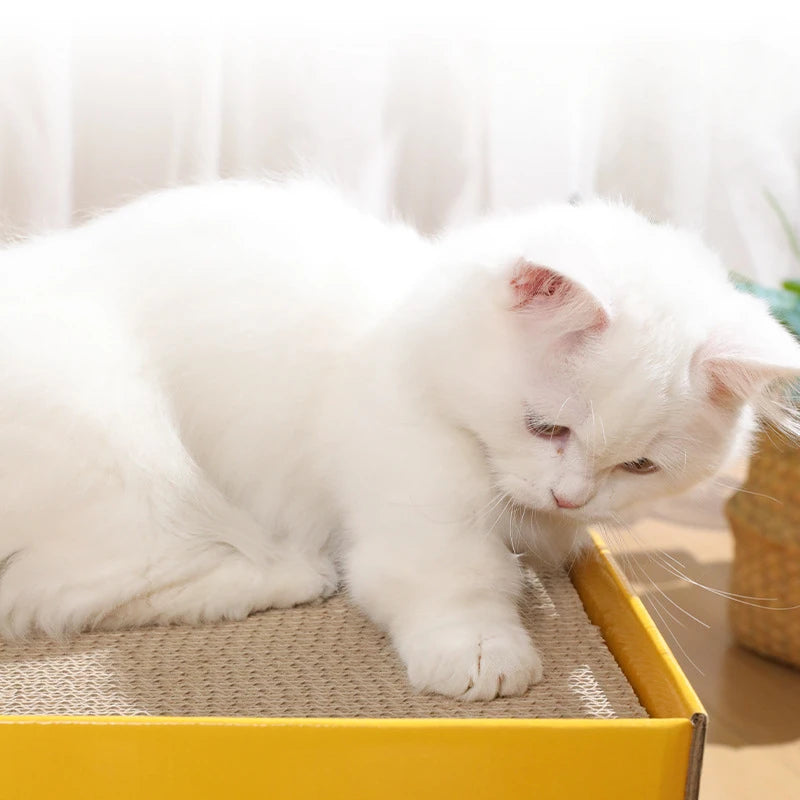 Double-Layer Pine Wood & Cardboard Cat House Scratcher
