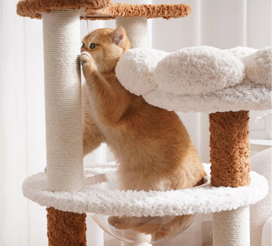 The Everest | 128cm Multi-Level Heavy-Duty Big Cat Tree & Tower