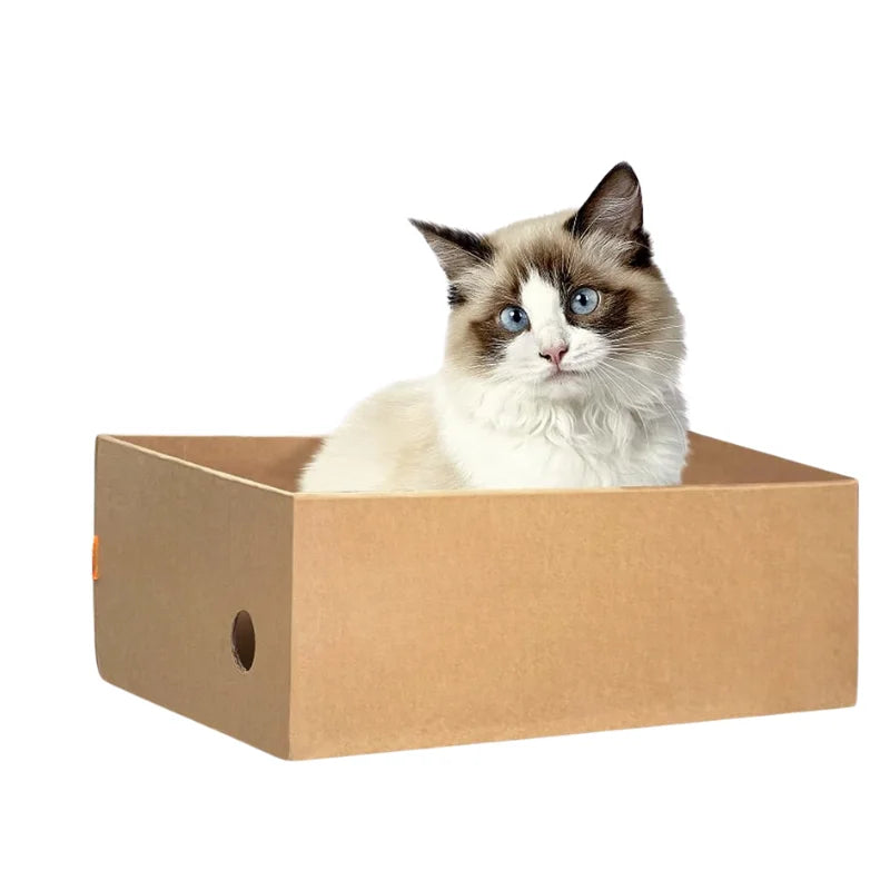 4-in-1 Multi-Layer Wooden Cat Scratcher Box | Heavy-Duty Reversible Cardboard Scratching Station