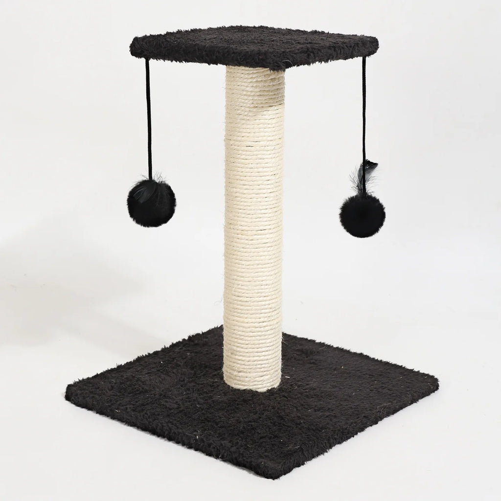 Agave Cactus Kitten Scratching Post with Teaser Toy