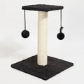 Agave Cactus Kitten Scratching Post with Teaser Toy