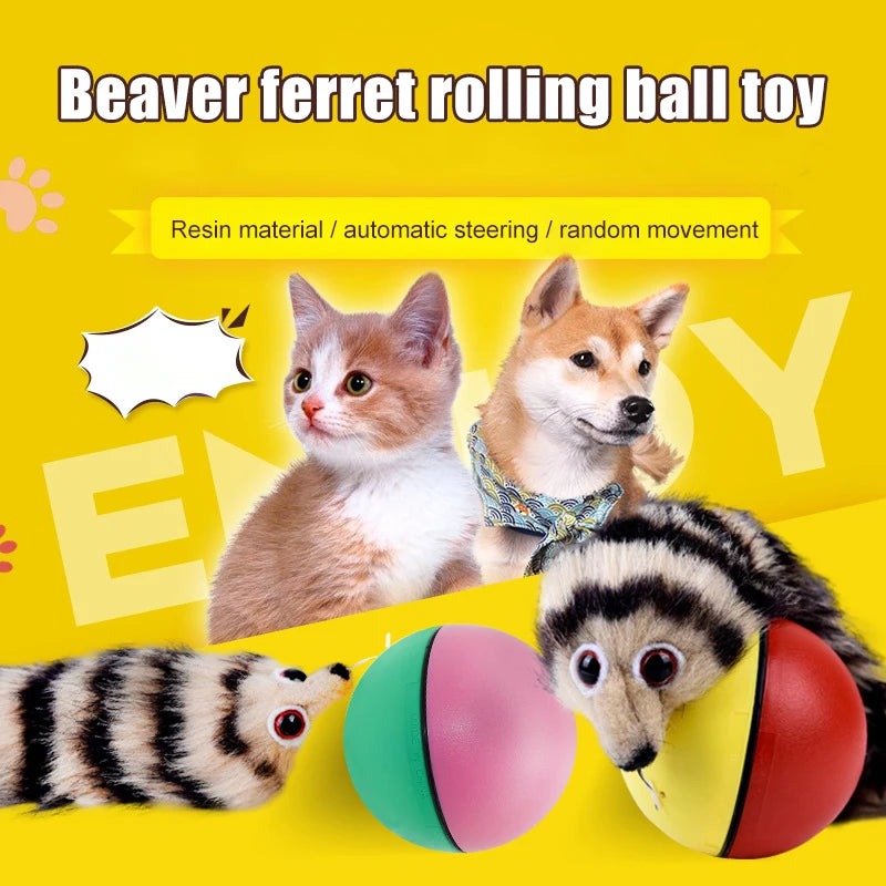 The Chaos Chaser – Motorized Rolling Beaver Ball Toy