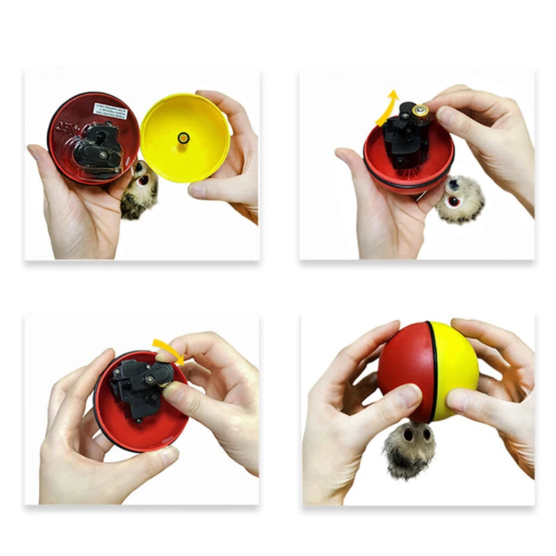The Chaos Chaser – Motorized Rolling Beaver Ball Toy