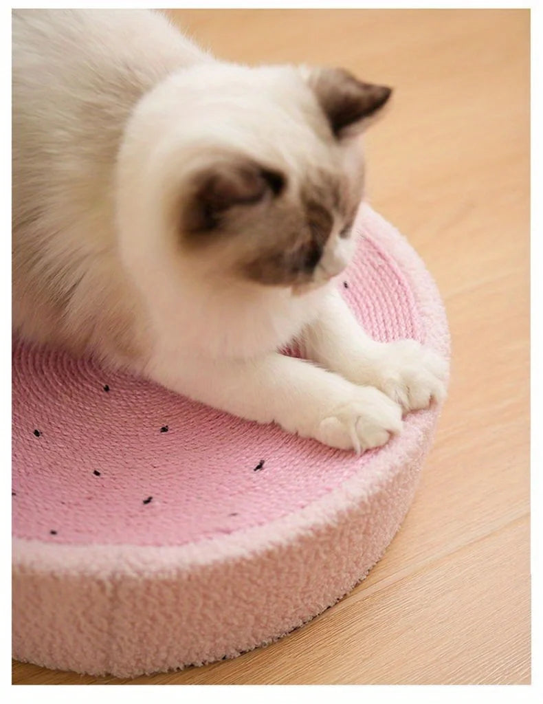 Winter Cat Scratch Board & Cozy Sisal Nest