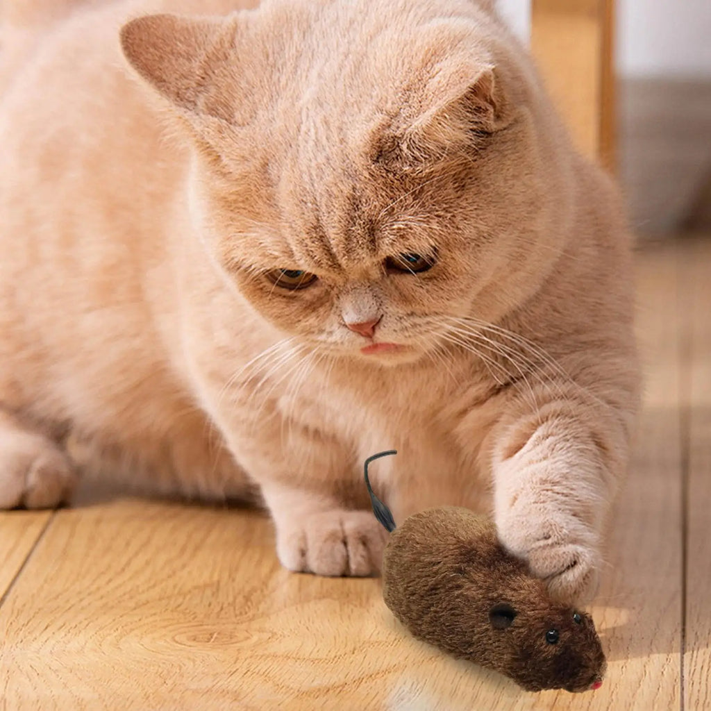Wind-Up Moving Plush Mouse Cat Toy | Interactive Battery-Free Chasing Game
