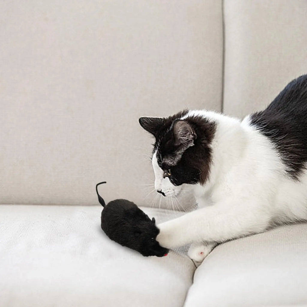 Wind-Up Moving Plush Mouse Cat Toy | Interactive Battery-Free Chasing Game