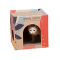 Double-Layer Kitten Scratching House & Condo