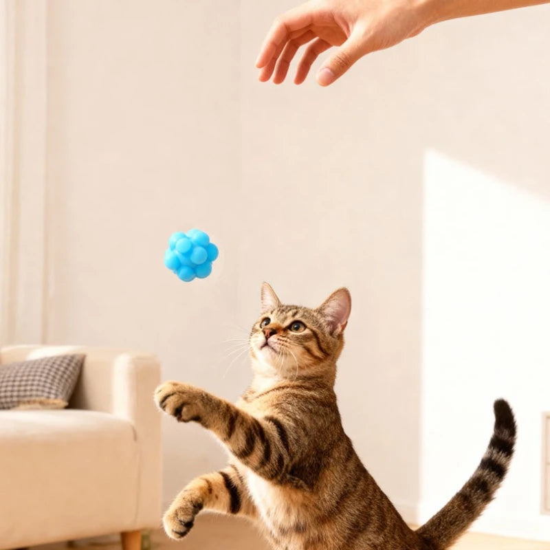High-Elasticity Silicone Cat Chew Ball | Interactive Bouncy Chase & Dental Teeth Cleaning Toy