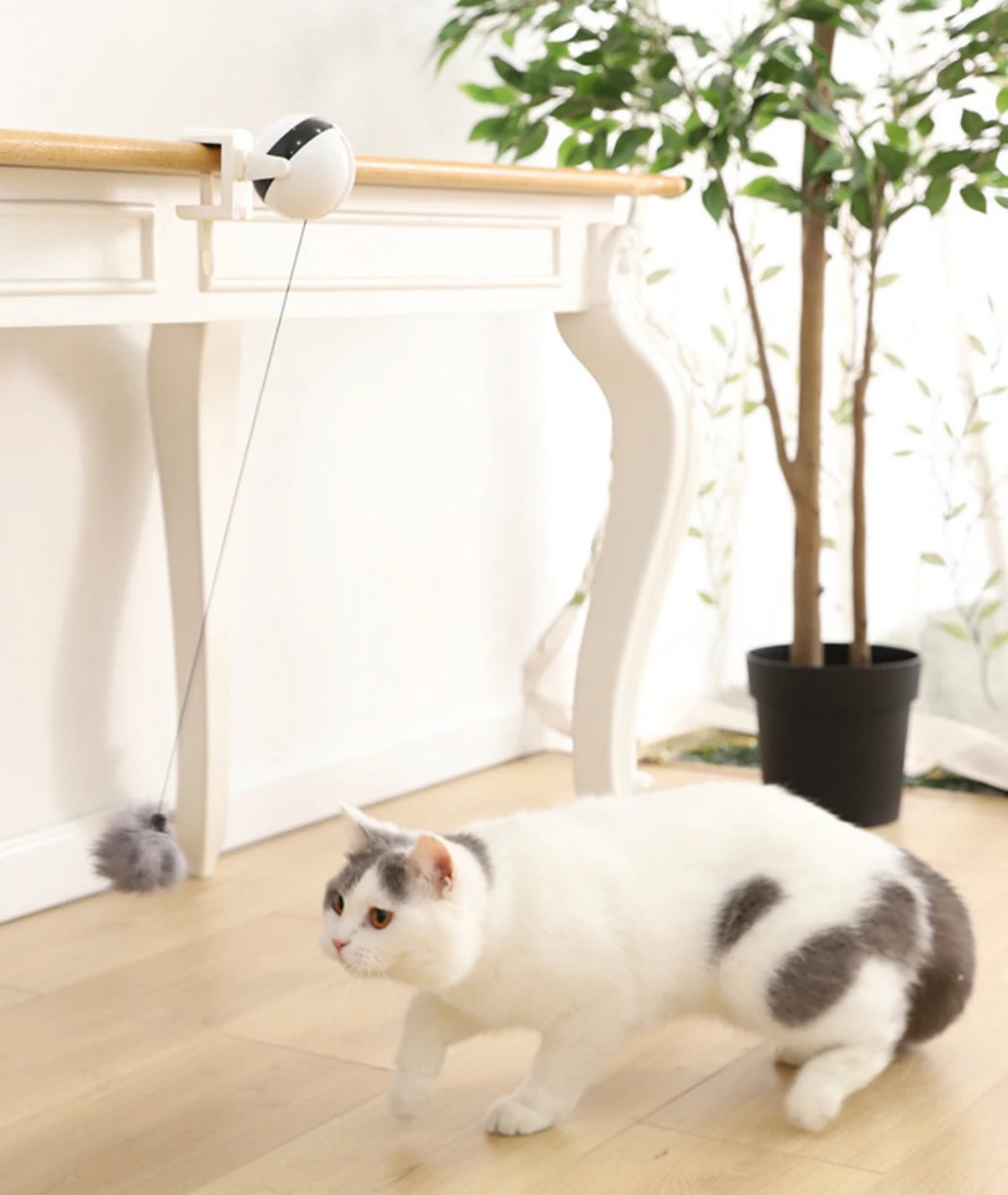 Smart Automated Electric Lifting Ball Cat Toy - Interactive Hands-Free Play
