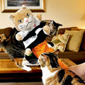 Interactive Cat Wrestling Glove Puppet Ultimate Kitten Boxing & Play Toy