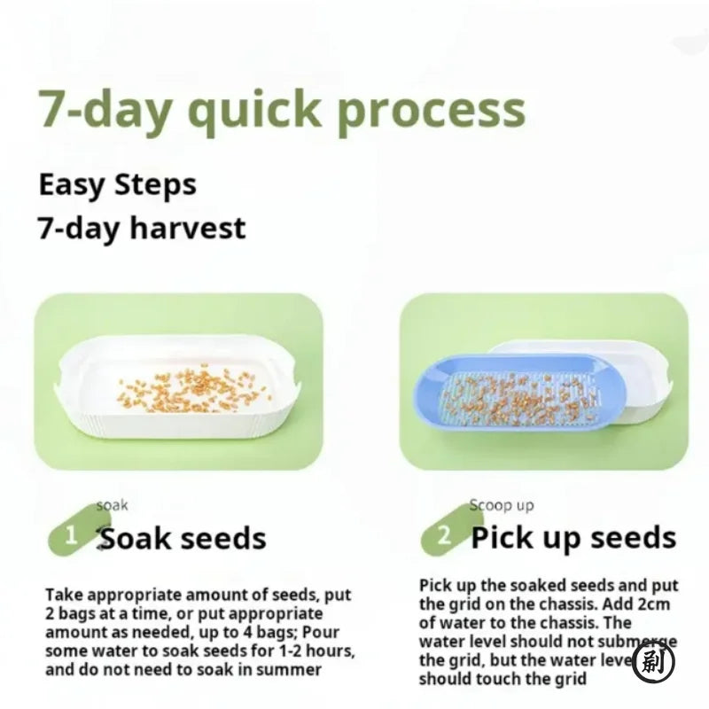 Soilless Hydroponic Cat Grass Planting Box