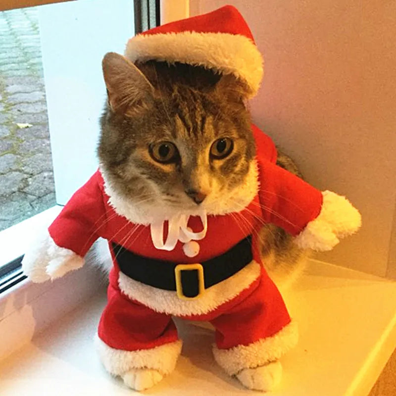 Santa Paws Deluxe Christmas Pet Costume
