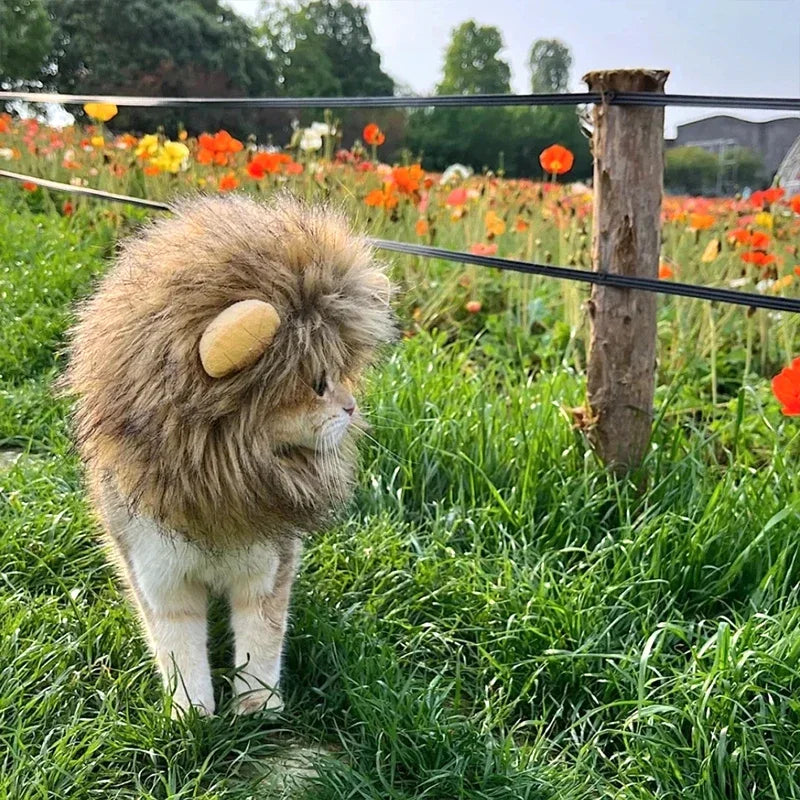 Majestic Lion Mane Cat Wig Hat - Adorable Pet Cosplay Costume with Ears
