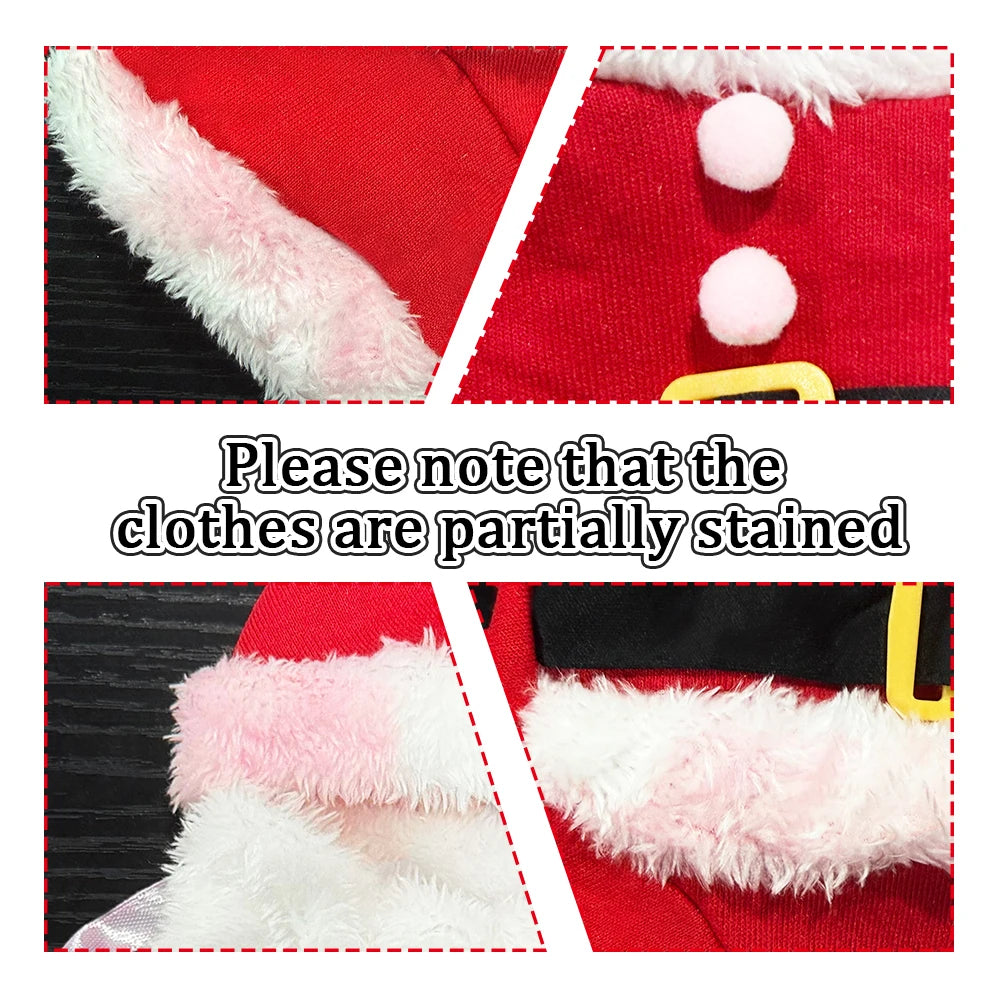 Santa Paws Deluxe Christmas Pet Costume