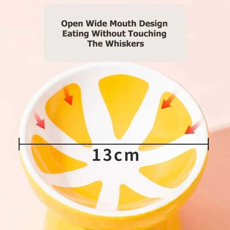 Cute Slanted Ceramic Fruit Pet Bowl