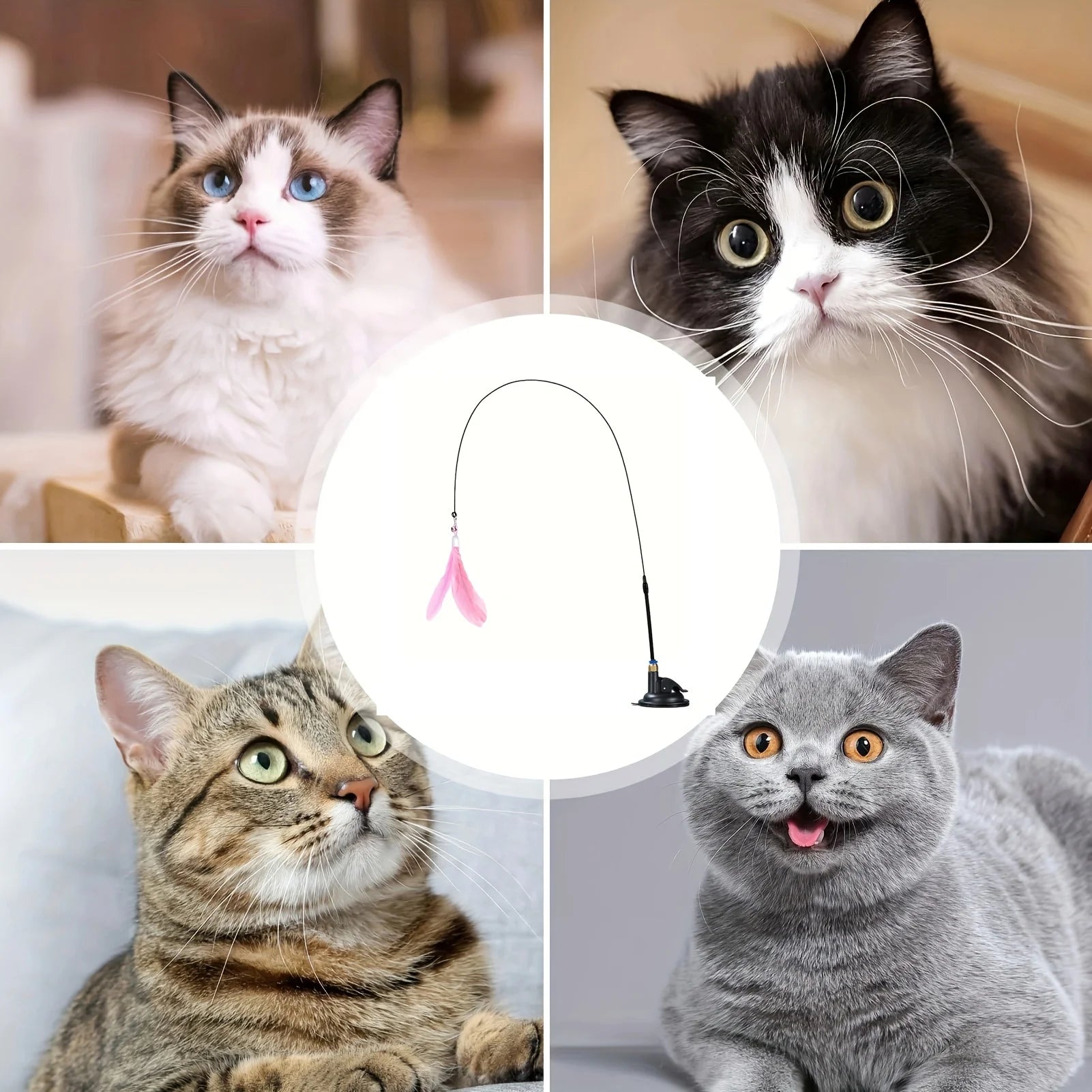 Hands-Free Suction Cup Cat Feather Wand – The Ultimate Boredom Buster!