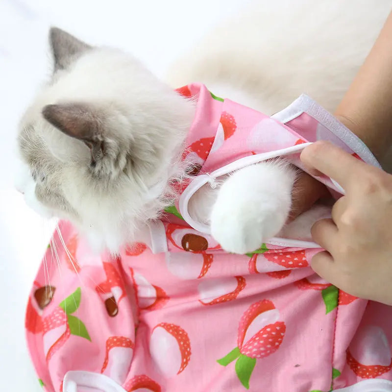 Cute Breathable Cat Surgery Recovery Suit - Anti-Lick Post-Op Protection Onesie