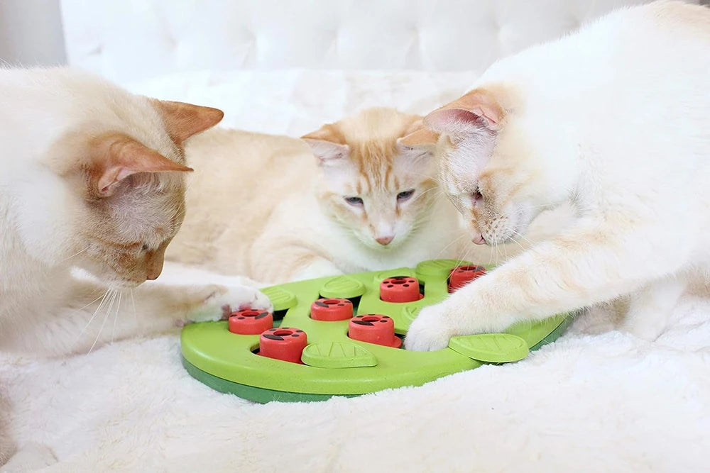 Interactive Cat Puzzle Toy & Slow Feeder Scratch Board