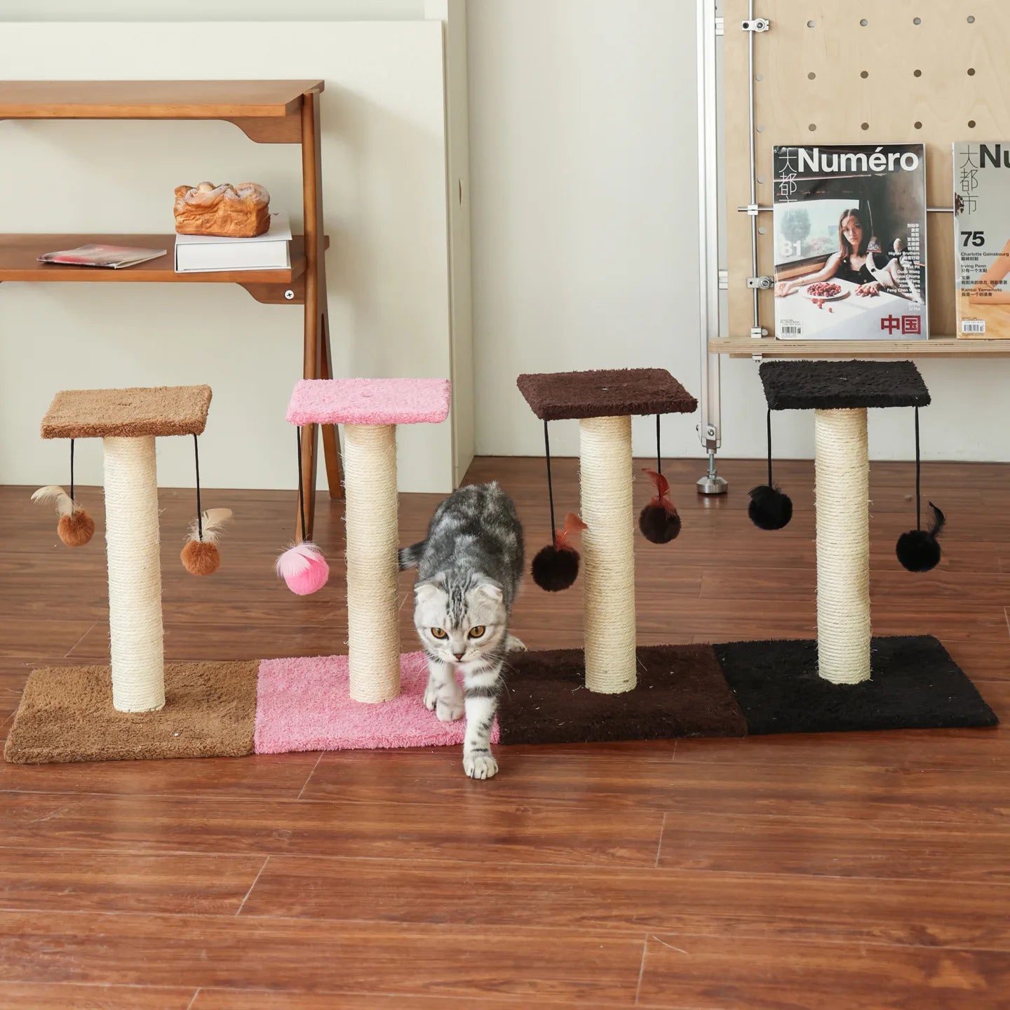 Agave Cactus Kitten Scratching Post with Teaser Toy