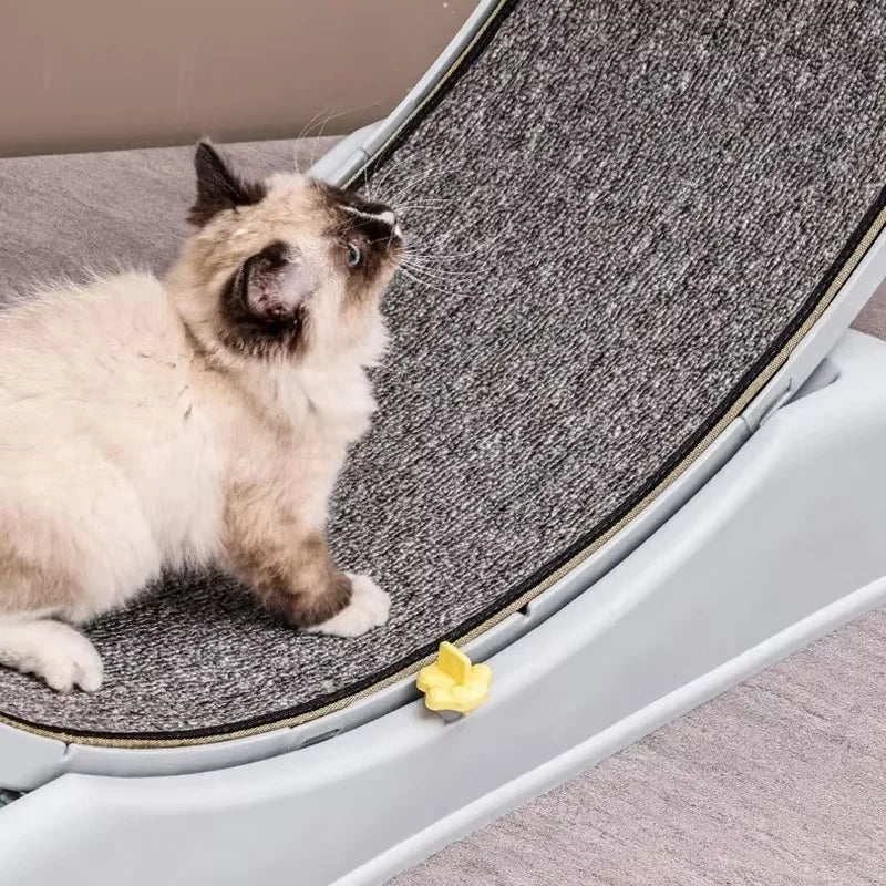 Cat Treadmill Silent Fitness Roller Anti Pinch Foot Exercise Running Wheel