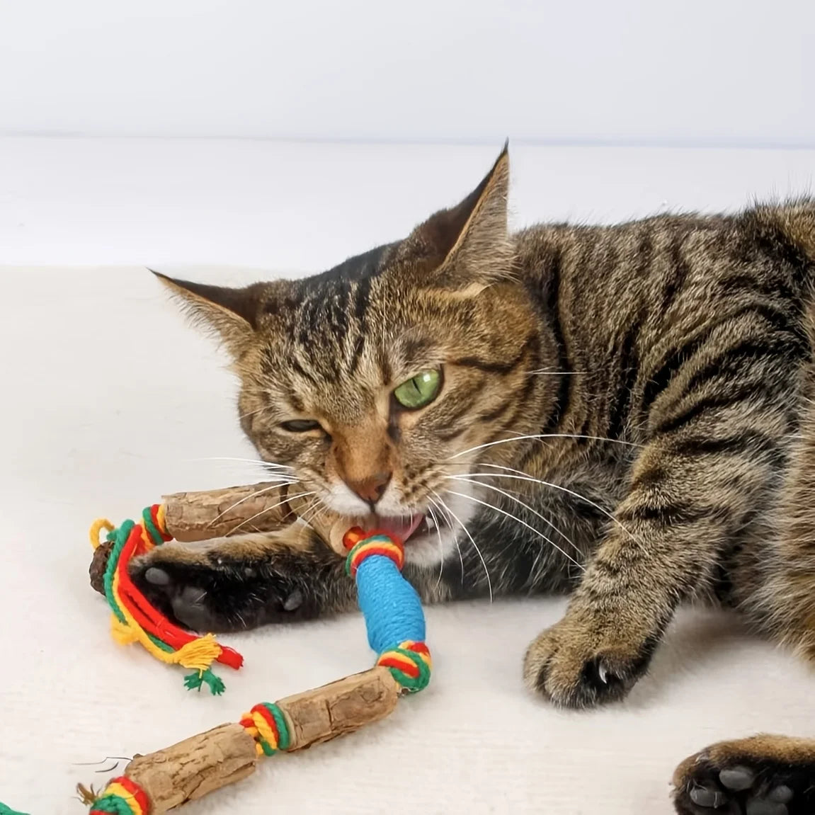 Natural Rope Cat Chew & Dental Toy (2-Pack)