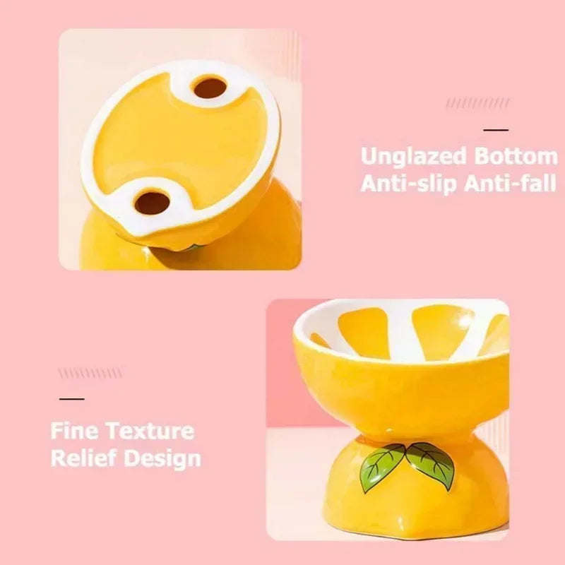 Cute Slanted Ceramic Fruit Pet Bowl