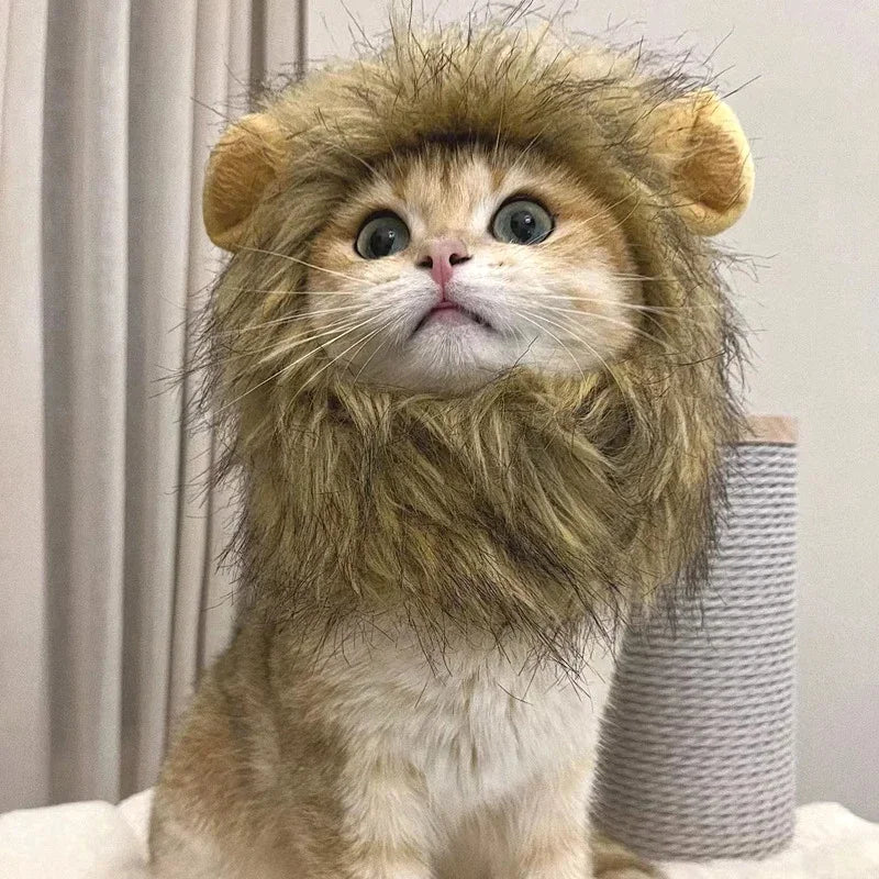 Majestic Lion Mane Cat Wig Hat - Adorable Pet Cosplay Costume with Ears