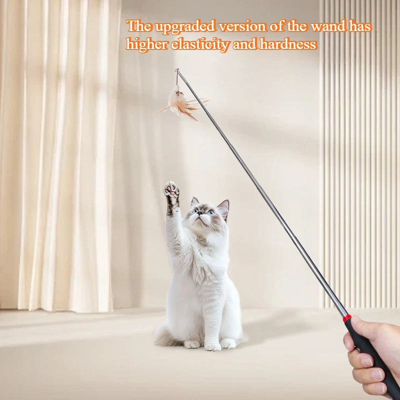 Retractable Heavy-Duty Kitten Teaser Wand with Replaceable Feathers