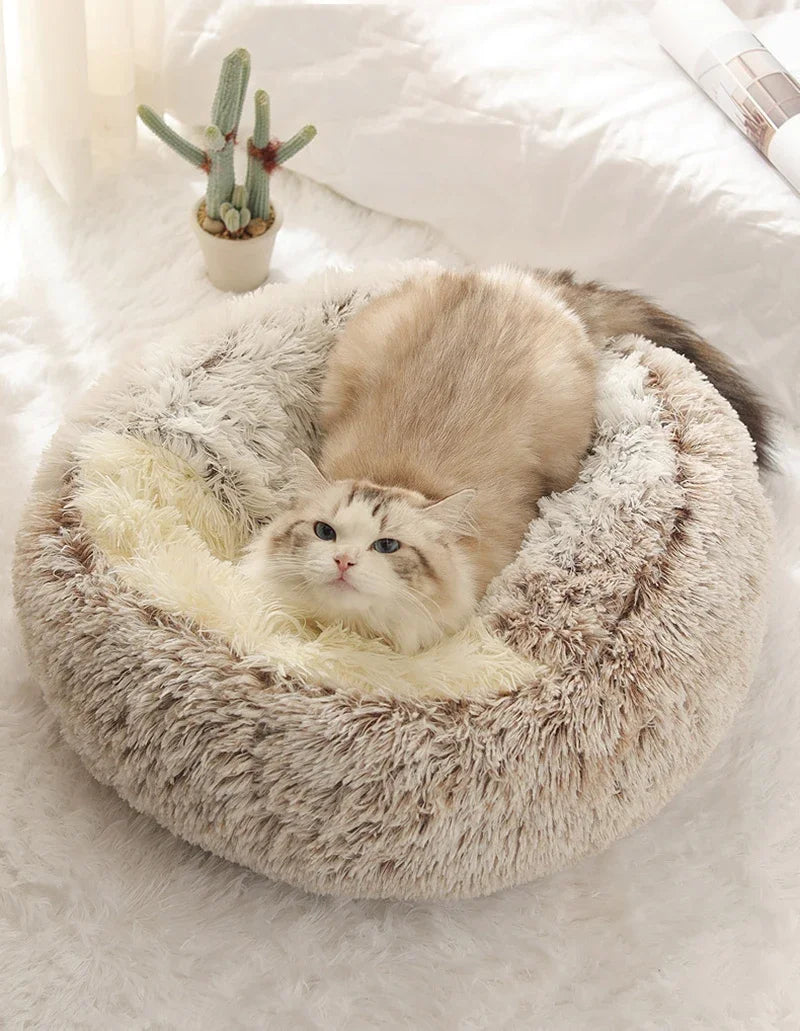 2-in-1 Hooded Plush Soothing Cat Bed | Anti-Anxiety Covered Nest & Cave Sleeping Bag