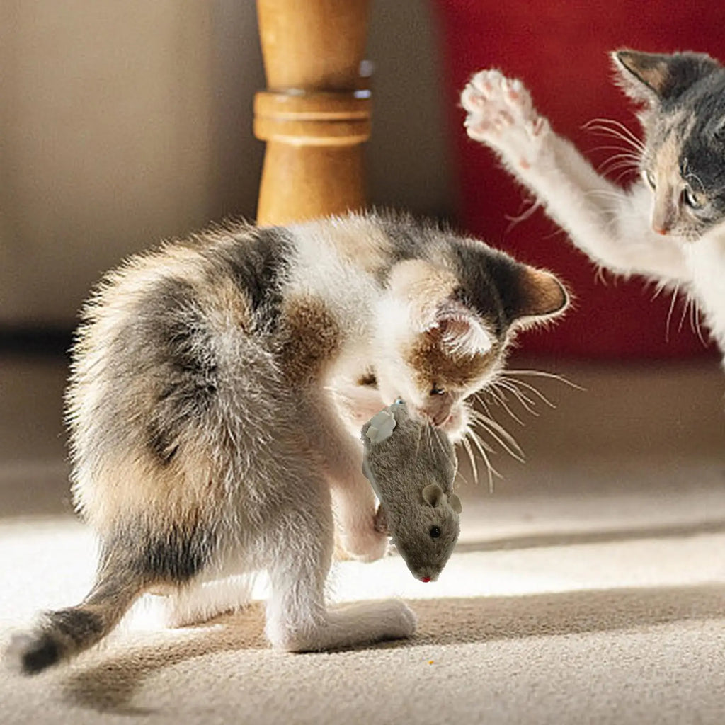 Wind-Up Moving Plush Mouse Cat Toy | Interactive Battery-Free Chasing Game