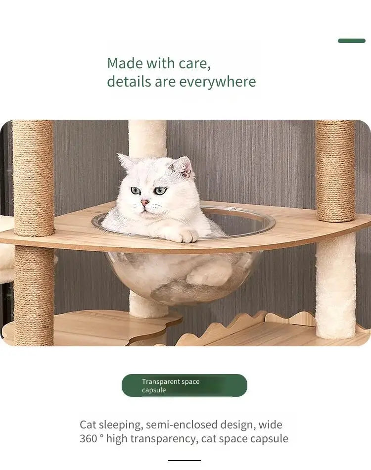 Modern Wooden Cat Tree Tower with Clear View Space Pod & Cozy Dual Condos